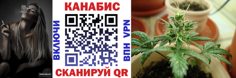 Каннабис план  даркнет сайт  Касли 